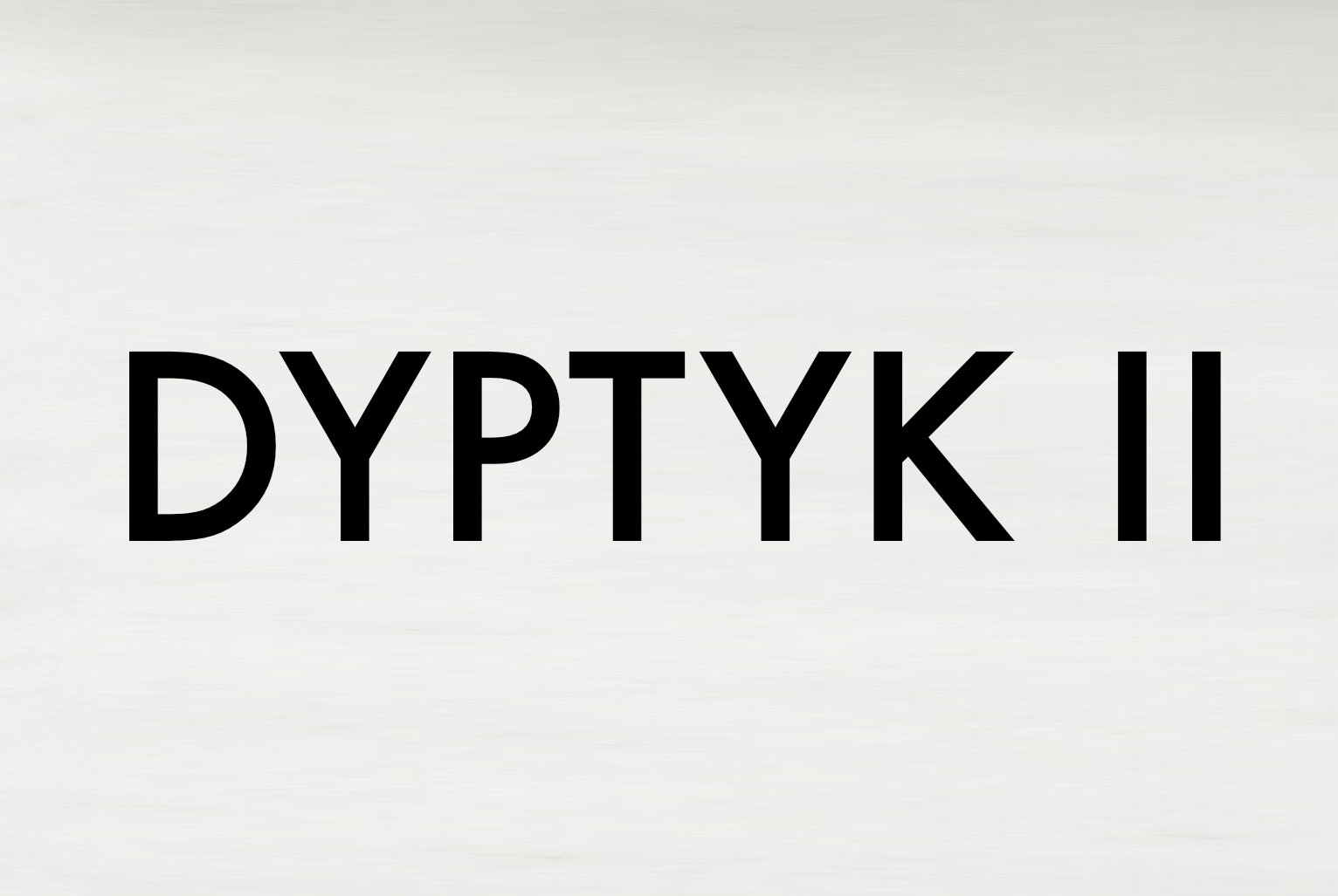 Dyptyk II, original linocut print by Renata Guzera